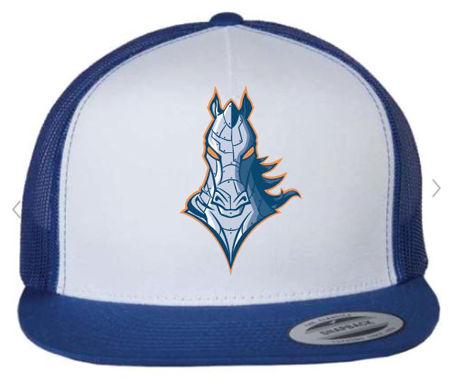 Ironhorse Fabric & Mesh Embroidered Hat