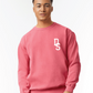 DS Comfort Colors sweatshirt