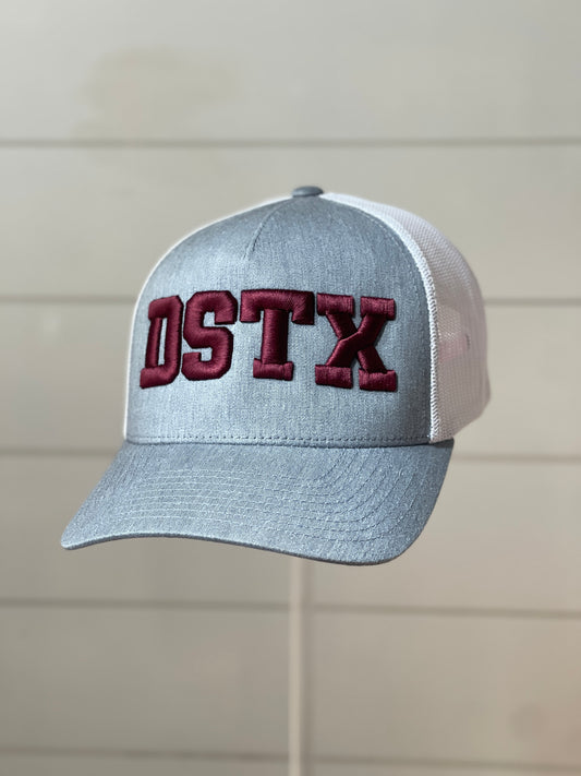 DSTX 3D embroidery Hat