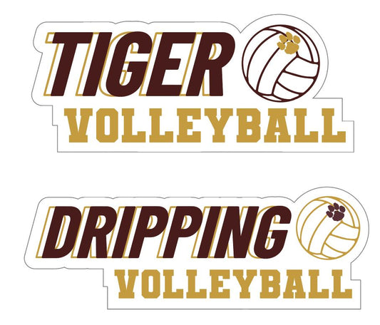 Volleyball UV Vinyl Sticker - DSYSA